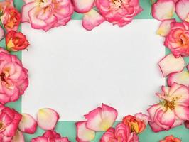 folha de papel branco puro e botões de rosas cor de rosa, fundo festivo foto