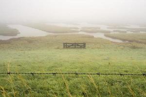 dia de nevoeiro sobre as zonas húmidas, burgh-haamstede, zeeland, países baixos. foto