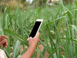 retrato de uma jovem na tailândia, conceito de agricultor inteligente foto