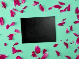 quadro de giz preto vazio sobre um fundo verde entre as pétalas de peônia rosa foto