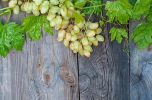 cacho de uvas com folhas verdes sobre o fundo cinza de madeira velho foto