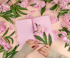 caderno aberto com páginas rosa vazias e duas mãos femininas foto