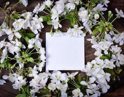 pequeno pedaço de papel vazio branco no centro dos galhos foto