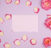 folha de papel rosa vazia e botões de rosas cor de rosa, fundo festivo foto