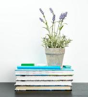 cadernos com páginas brancas e vasos de cerâmica com plantas em mesa preta foto