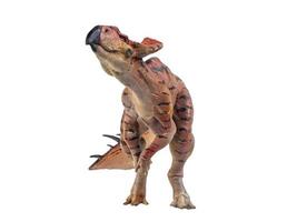 protoceratops, dinossauro em fundo isolado foto