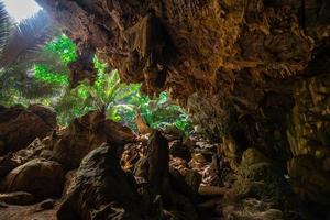 paisagem de caverna e árvore hup pa tat, uthai thani, tailândia foto