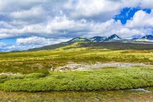 bela montanha e paisagem paisagem natureza parque nacional rondane noruega. foto