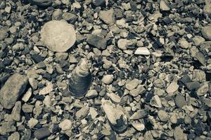 textura de conchas, pedras de areia da praia. cidade do cabo do ponto do mar. foto