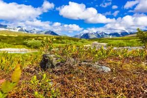 bela montanha e paisagem paisagem natureza parque nacional rondane noruega. foto