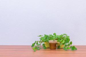 caneca de café e plantas na mesa foto