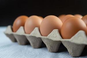 ovos de galinha colocados em uma bandeja de ovos foto
