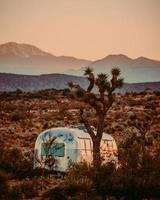 joshua tree, ca, 2020 - árvore verde perto da casa branca e azul durante o dia foto