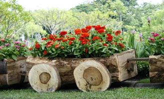carroça de madeira com flores foto
