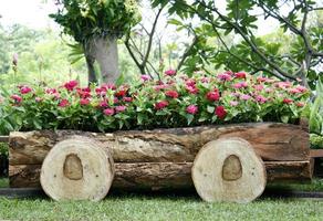flores rosa em uma carroça de madeira foto