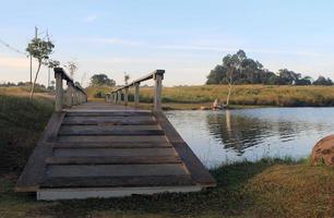 ponte de caminho de madeira no lago no parque nacional foto