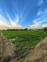 bela paisagem rural com lindo céu noturno gradiente ao pôr do sol. campo verde e aldeia foto