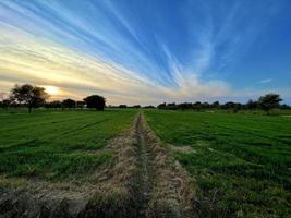 bela paisagem rural com lindo céu noturno gradiente ao pôr do sol. campo verde e aldeia foto