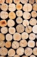 close-up redondo corte corte transversal de tronco de árvore com padrão de textura de madeira de anéis anuais, parede decorada com corte de árvore foto