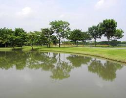 parque verde com lagoa foto