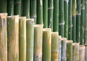 cortar cerca de bambu