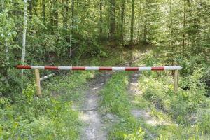 barreira fechada na estrada na floresta. entrada na floresta é proibida. foto