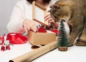 gato cinza adulto está roendo uma árvore de natal em miniatura, atrás de uma mulher está embalando presentes foto