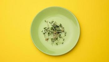 brotos verdes de chia, rúcula e mostarda em um prato redondo branco, vista superior. um suplemento alimentar saudável contendo vitaminas c, e e k foto
