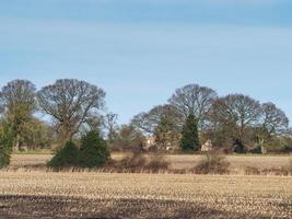 campos e árvores nuas de inverno em Skipwith, North Yorkshire, Inglaterra foto