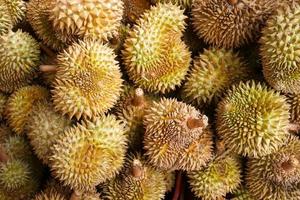 durian no mercado. sabor do festival de bufê de frutas durian foto