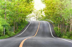 estrada rural com árvores em ambos os lados, curva da estrada foto