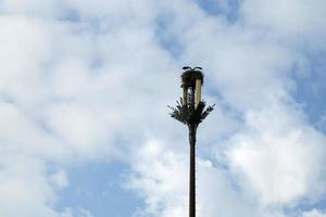 ninho de cegonhas instalado em uma torre de antena de telecomunicações foto