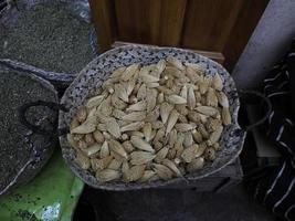 palitos de dente berbere - as cabeças secas de flores de erva-doce ammi visnaga, usadas em marrocos para limpar os dentes. foto