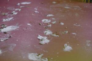 vista do topo. cocô de pássaro seco no chão. sujo e pode transmitir doenças prejudiciais aos seres humanos foto