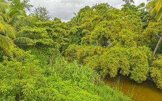 lagoa de água doce verde lindo rio tropical em puerto escondido méxico. foto