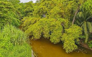 lagoa de água doce verde lindo rio tropical em puerto escondido méxico. foto