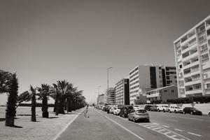 cidade do cabo capa ocidental áfrica do sul 2018 rua em mouille sea point promenade, cidade do cabo, áfrica do sul. foto