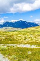 bela montanha e paisagem paisagem natureza parque nacional rondane noruega. foto