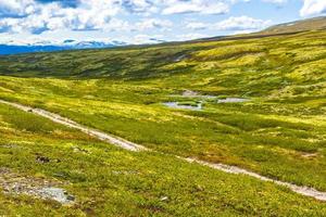 bela montanha e paisagem paisagem natureza parque nacional rondane noruega. foto