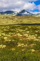 bela montanha e paisagem paisagem natureza parque nacional rondane noruega. foto