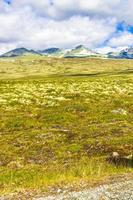 bela montanha e paisagem paisagem natureza parque nacional rondane noruega. foto