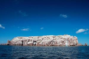 los islotes seal island no méxico baja califórnia foto