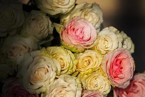 lindo buquê vintage de rosas brancas em um fundo escuro. foto