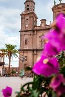 bela vista da catedral santa ana vegueta em las palmas foto