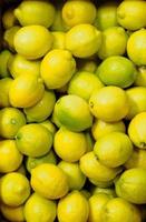 limões orgânicos amarelos brilhantes frescos maravilhosos cítricos cheios de vitaminas saudáveis foto