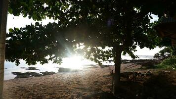 pôr do sol na praia. praia paradisíaca. paraíso tropical, areia branca, praia e águas cristalinas. paisagem com pôr do sol do mar na praia. foto