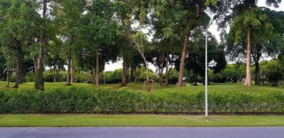 poste de luz com primeiro plano de estrada ou rua e muitos fundo de árvore verde no parque jardim. ao ar livre, beleza da natureza, crescimento de plantas e conceito de papel de parede natural foto