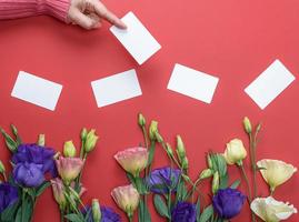 mão feminina no suéter rosa segurando um cartão de visita de papel branco em branco foto