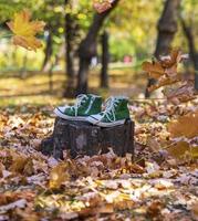 par de velhos sapatos verdes de ginástica fica em um toco foto