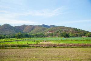 terras agrícolas e montanhas foto